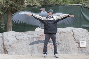 402-4718 Safari Park - Dick vs California Condor Wingspan